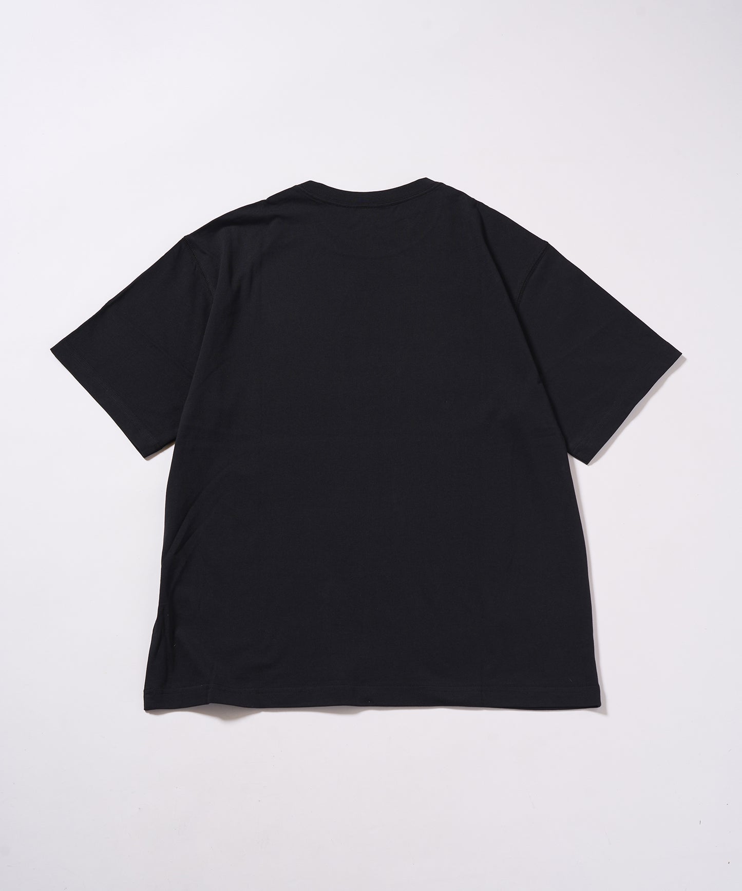 Divided Eagle TEE BLACK【B232N0151202】