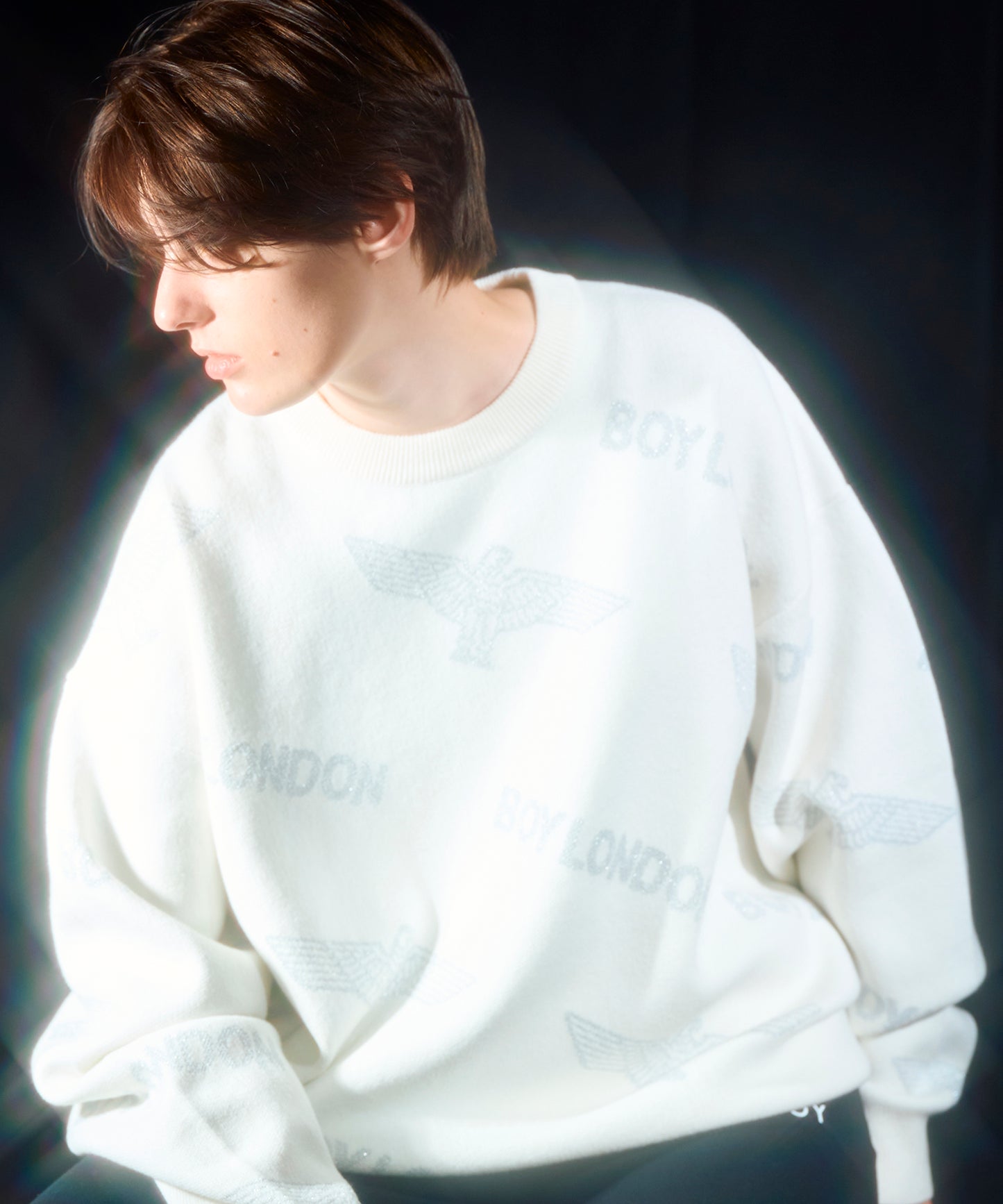 Silver LOGO Jacquard Knit Pullover WHITE【B233N6090101】