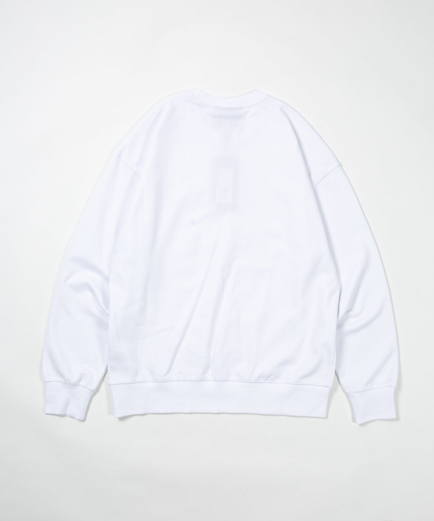 CLASSIC EAGLE BOY CREWNECK SWEAT WHITE/GOLD【AFJ-2000-SWW02】