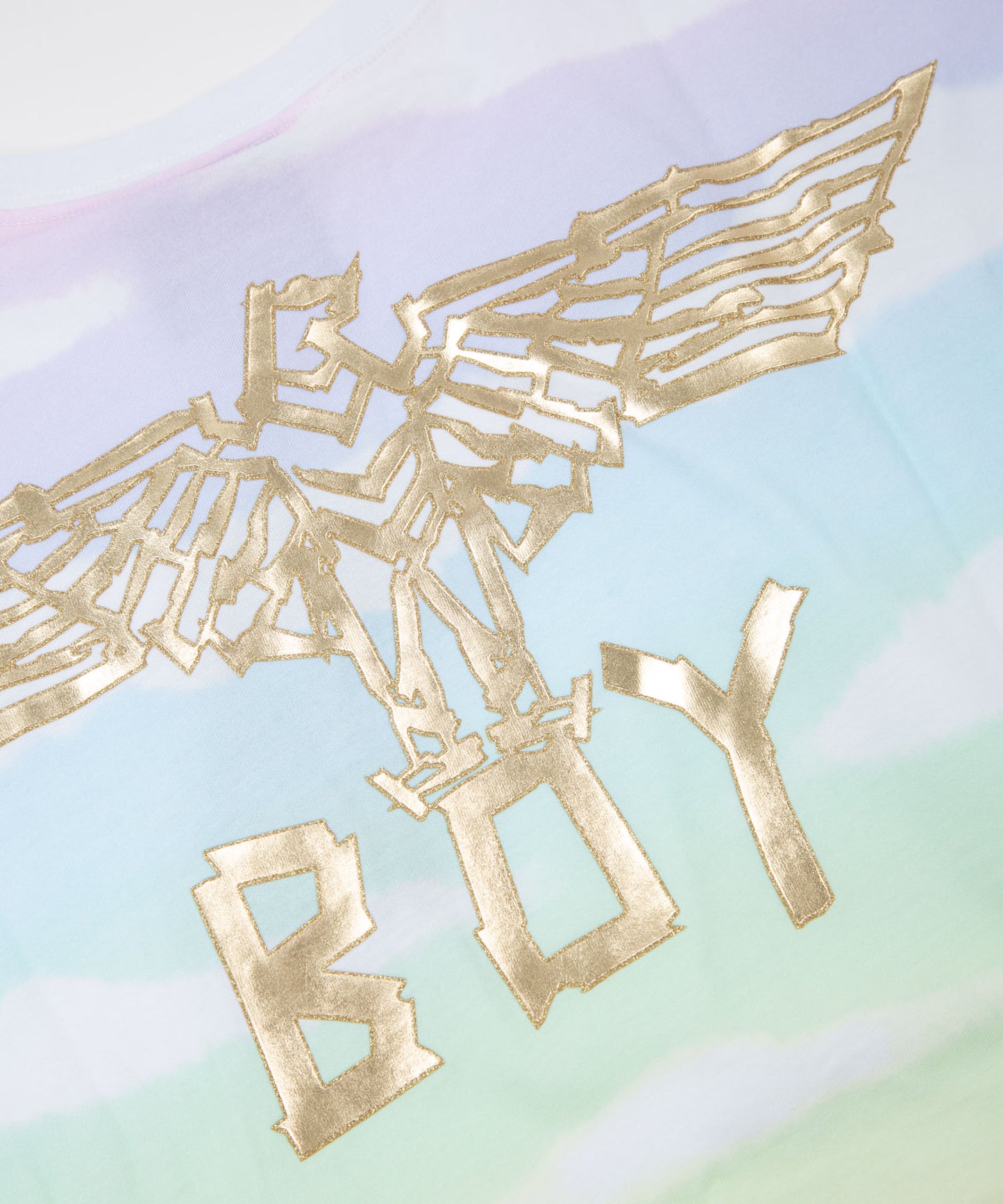 RAINBOW EAGLE TEE MULTI【B223N0102210】