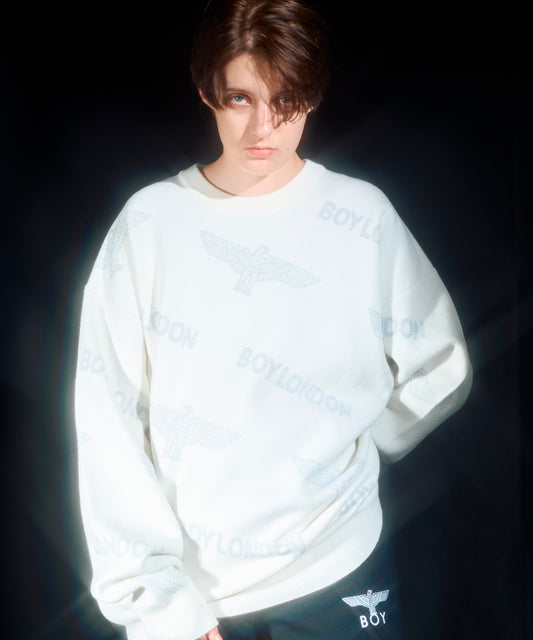 Silver LOGO Jacquard Knit Pullover WHITE【B233N6090101】